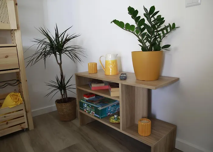 Apartment Edificio Xavier Nazare